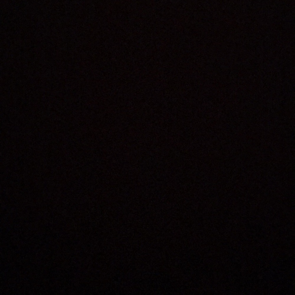 Meet your Posher, Lily